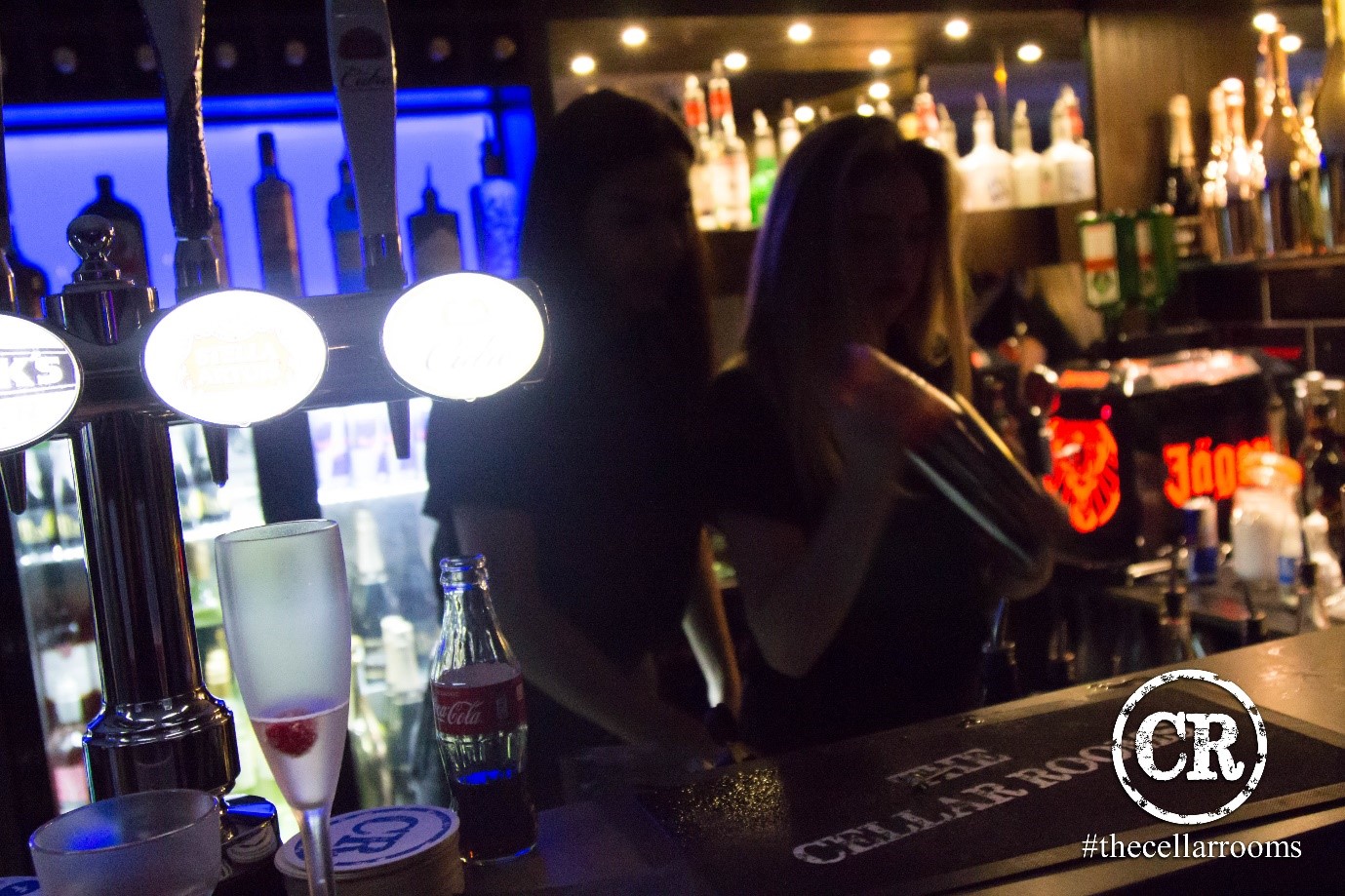 The Cellar Rooms at Reigate Manor Surrey Chambers
