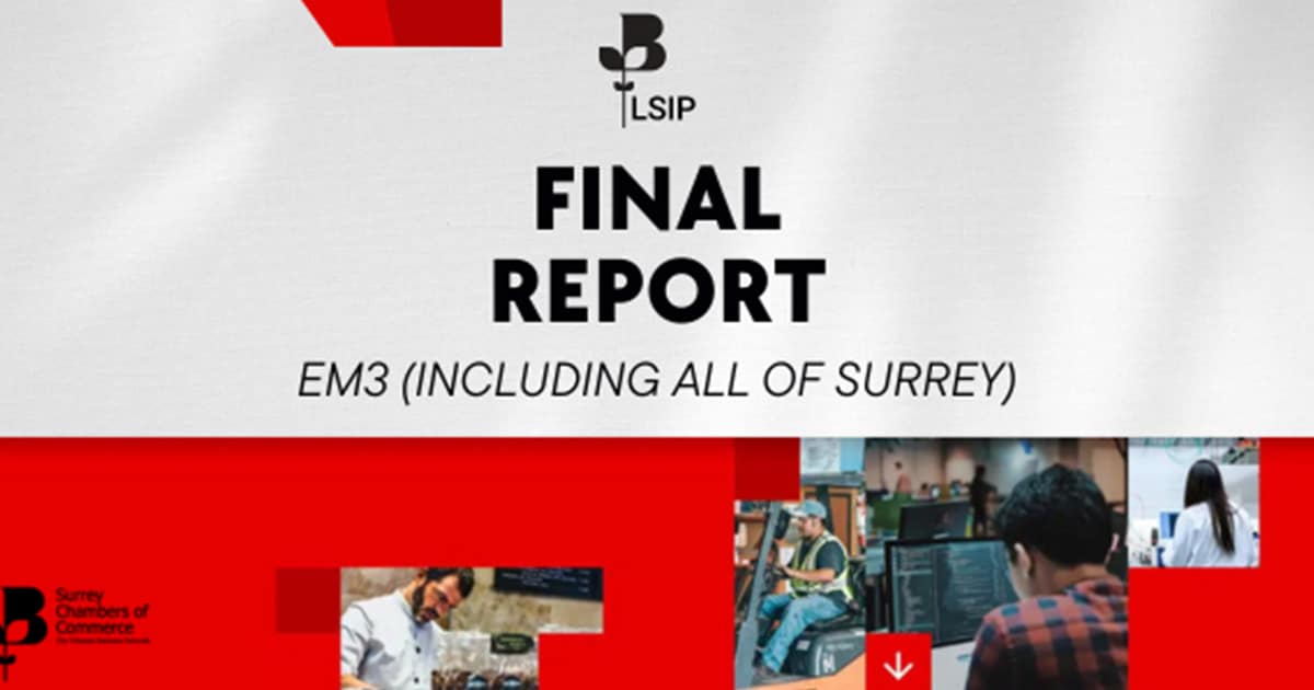 EM3 Including all of Surrey LSIP Final report cover